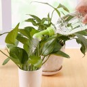 Tête d'arrosage pour bouteille PET 2 pièces 2