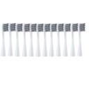 Têtes de rechange pour brosse à dents Xiaomi 12 pcs 8
