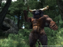 The Elder Scrolls IV: Oblivion GOTY Edition Deluxe Steam CD-avain 4