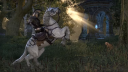 The Elder Scrolls Online Standaard Editie Steam Account 8