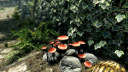 The Elder Scrolls V: Skyrim Špeciálne vydanie PS4/PS5 Aktivácia online účtu 5