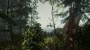 The Forest PS4 Account 6