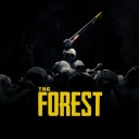 The Forest PS4 -tili 1