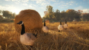 theHunter : Call of the Wild Compte PS4 12