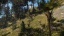 theHunter: Call of the Wild - Master Hunter Bundle PC Steam Account 6