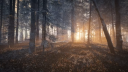 theHunter: Call of the Wild - Master Hunter Bundle PC Steam Account 8