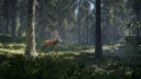 theHunter: Call of the Wild PS4 Account 6