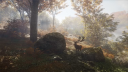 theHunter: Call of the Wild PS4 Account 11