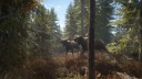 theHunter: Call of the Wild PS4 Konto 8
