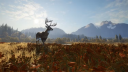 theHunter: Call of the Wild PS4 Konto 15