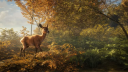 theHunter: Call of the Wild PS4 Účet 14