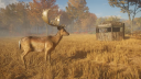 theHunter: Call of the Wild - Seasoned Hunter Bundle Chave CD Steam 4