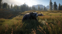 theHunter: Call of the Wild Silver Bundle Steam CD Key CD klíč 5