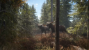theHunter: Call of the Wild Silver Bundle Steam CD Key CD klíč 8