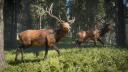 theHunter: Call of the Wild Silver Bundle Steam CD Key CD klíč 9