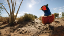 theHunter: Call of the Wild Starter Bundle Steam CD Key CD klíč 4