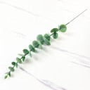 Tige en plastique d'eucalyptus 7