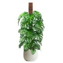 Tijă de sprijin din plastic pentru plante cățărătoare 2 buc 91 × 10 cm albă pentru creșterea verticală a plantelor de interior și conducerea 2