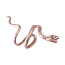 Tijereta serpiente 12