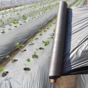 Tissu de paillage de jardin 6