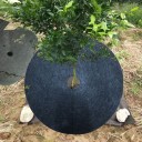 Tissu non tissé de paillage rond 12 pcs 5