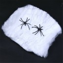 Toile d'araignée artificielle avec araignées 1