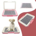 Toilette pour chien 1