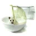 Toilette pour petits rongeurs 2
