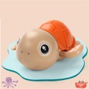 Tortue aquatique 7