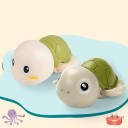 Tortue aquatique 2