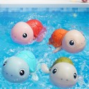 Tortue aquatique 5