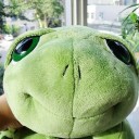 Tortuga de peluche 5