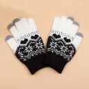 Touch Gloves with Christmas Pattern 1