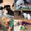 Tovtrækningslegetøj til hunde 8