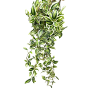 Tradescantia artificială cățărătoare 75 cm Plantă decorativă cu frunze realiste Decor pentru interior în ghiveci sau suspendat 1