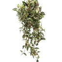 Tradescantia artificială cățărătoare 75 cm Plantă decorativă cu frunze realiste Decor pentru interior în ghiveci sau suspendat 3