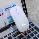 Trådløs genopladelig mus med farvet LED-belysning Tilslutning via USB-modtager Opløsning 1600 DPI Batterilevetid 7 dage Opladning på 2 timer 6