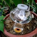 Transparent Heart Watering Reservoir with Irrigation Spike for Houseplants 2