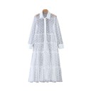 Transparent Shirt Dress 1