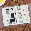 Transparent-weiße A5 Kunststoffringordner mit Gummiband, Ordner für gelochtes Papier oder Folien 4