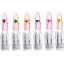 Transparenter Lippenstift mit einer Blume 2