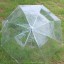 Transparenter Regenschirm 5