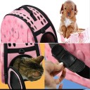 Transporteur pour chats 9