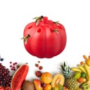 Trappola per insetti 2 pz 3