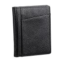 Travel Document Holder T1061 1