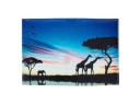 Travel Document Holder T1083 2