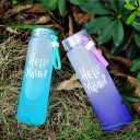 Travel Drinking Bottle with Inscription Matte Surface with Colour Gradient Carrying Handle Silicone Seal Capacity 500 ml Dimensions 21.5 x 6 cm 8
