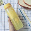 Travel Drinking Bottle with World Map Print Screw Cap in Print Colour Transparent Plastic Capacity 500 ml Dimensions 19.5 x 6.5 cm 10