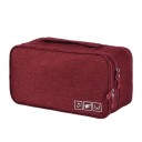 Travel Organiser for Bras and Underwear Zippered Case with Pockets in the Lid Neat Storage of Underwear in Suitcase or Backpack 16