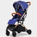 Travel Pushchair 3